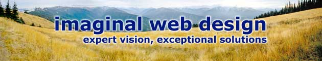 Imaginal Web Design LLC-Expert Vision-Exceptional Solutions